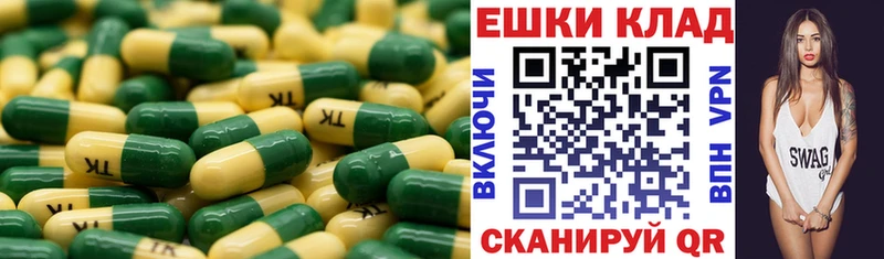 blacksprut вход  Гатчина  Ecstasy mix 