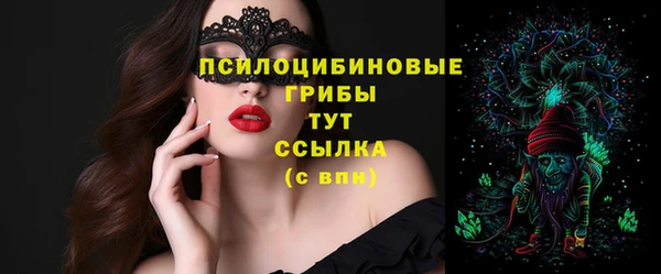 а пвп мука Бородино