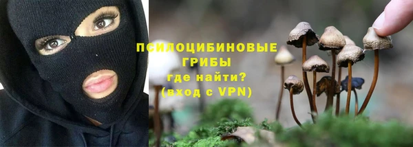 а пвп мука Бородино