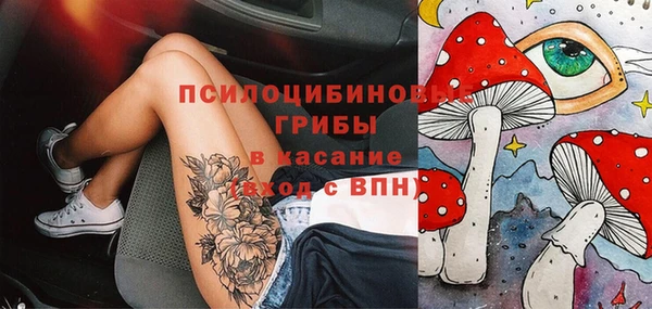 spice Бронницы