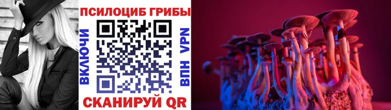 закладка  Гатчина  Галлюциногенные грибы мицелий 